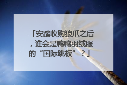 安踏收购狼爪之后，谁会是鸭鸭羽绒服的“国际跳板”？