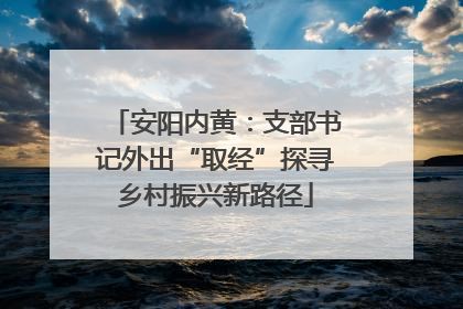 安阳内黄：支部书记外出“取经”探寻乡村振兴新路径