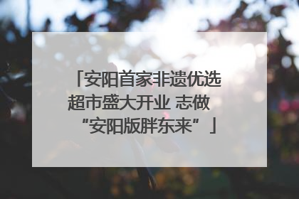 安阳首家非遗优选超市盛大开业 志做“安阳版胖东来”