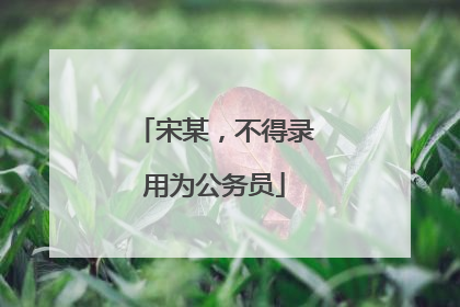 宋某，不得录用为公务员