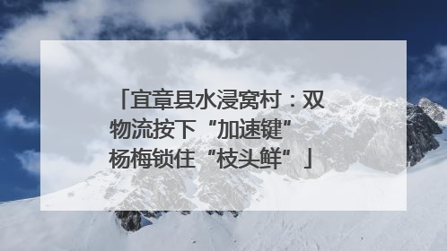 宜章县水浸窝村：双物流按下“加速键” 杨梅锁住“枝头鲜”
