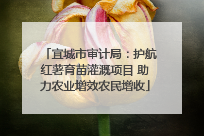 宜城市审计局：护航红薯育苗灌溉项目 助力农业增效农民增收