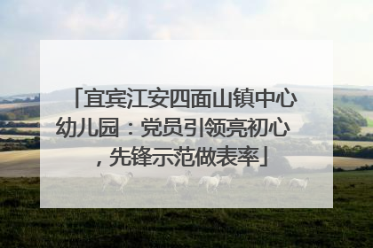 宜宾江安四面山镇中心幼儿园：党员引领亮初心，先锋示范做表率