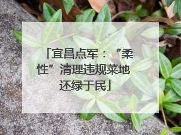宜昌点军：“柔性”清理违规菜地 还绿于民