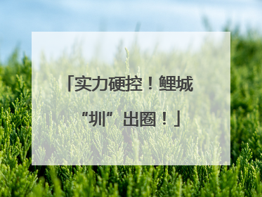实力硬控！鲤城“圳”出圈！