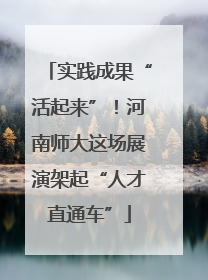 实践成果“活起来”！河南师大这场展演架起“人才直通车”