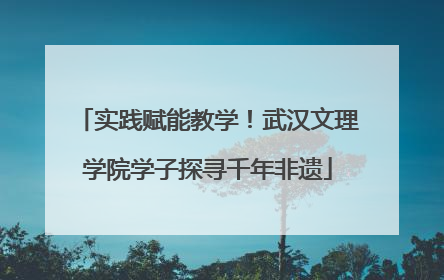 实践赋能教学！武汉文理学院学子探寻千年非遗