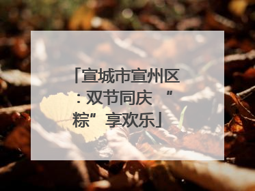 宣城市宣州区：双节同庆 “粽”享欢乐