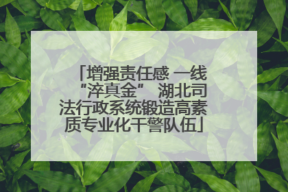增强责任感 一线“淬真金” 湖北司法行政系统锻造高素质专业化干警队伍
