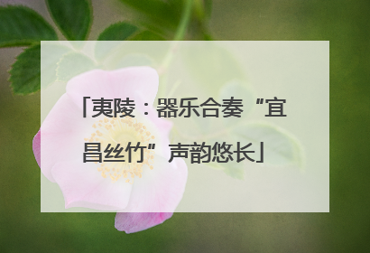 夷陵：器乐合奏“宜昌丝竹”声韵悠长
