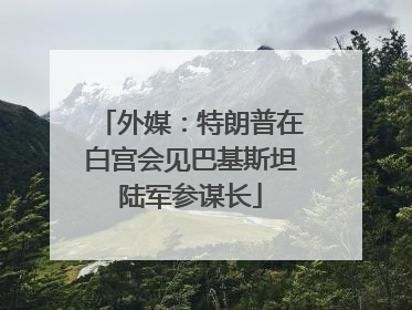 外媒：特朗普在白宫会见巴基斯坦陆军参谋长