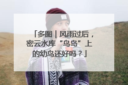 多图｜风雨过后，密云水库“鸟岛”上的幼鸟还好吗？