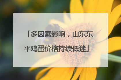 多因素影响，山东东平鸡蛋价格持续低迷
