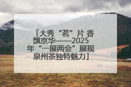 大秀“茗”片 香飘京华——2025年“一展两会”展现泉州茶独特魅力