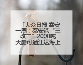 大众日报·泰安一周：泰安港“三改二”2000吨大船可通江达海上头版，泰安房产服务改革经验全省推广