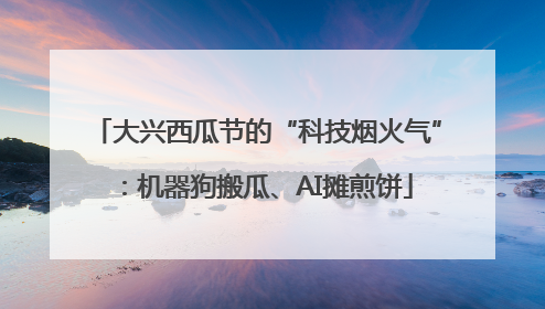 大兴西瓜节的“科技烟火气”：机器狗搬瓜、AI摊煎饼