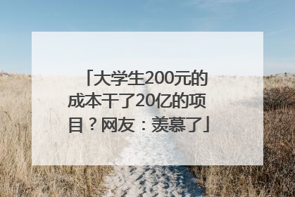 大学生200元的成本干了20亿的项目？网友：羡慕了