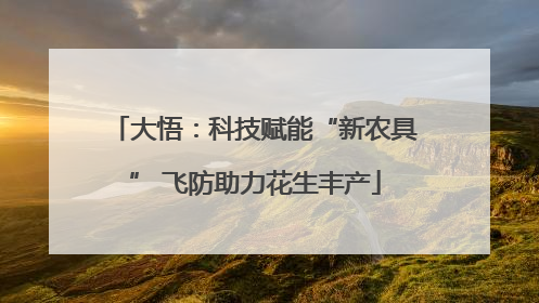 大悟：科技赋能“新农具” 飞防助力花生丰产