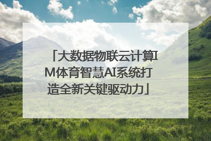 大数据物联云计算IM体育智慧AI系统打造全新关键驱动力