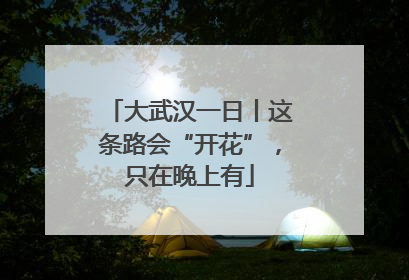 大武汉一日丨这条路会“开花”，只在晚上有