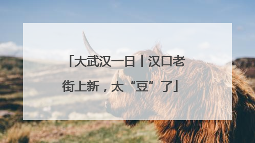 大武汉一日︱汉口老街上新，太“豆”了