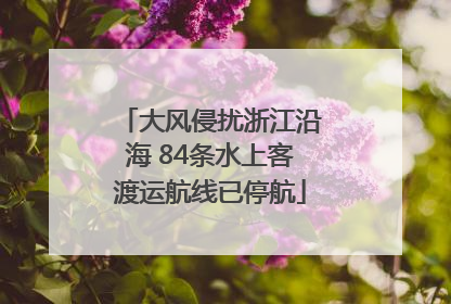 大风侵扰浙江沿海 84条水上客渡运航线已停航