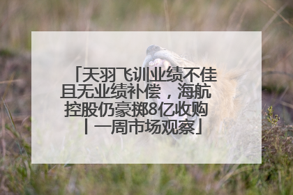 天羽飞训业绩不佳且无业绩补偿，海航控股仍豪掷8亿收购丨一周市场观察