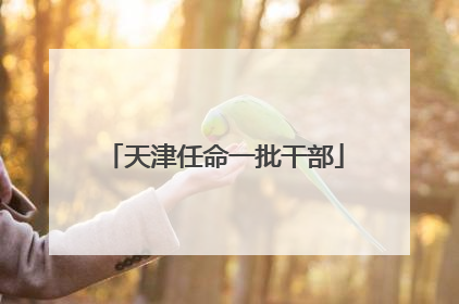 天津任命一批干部