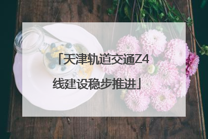 天津轨道交通Z4线建设稳步推进