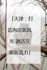 天津：打造海岸新风光 激活文旅新活力