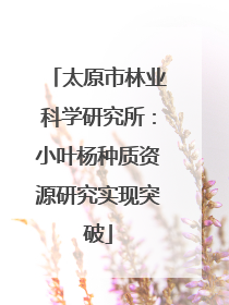 太原市林业科学研究所：小叶杨种质资源研究实现突破