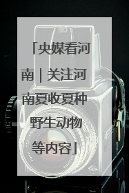 央媒看河南｜关注河南夏收夏种 野生动物等内容