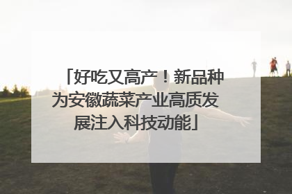 好吃又高产！新品种为安徽蔬菜产业高质发展注入科技动能