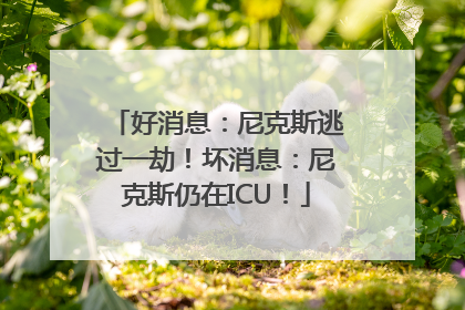 好消息：尼克斯逃过一劫！坏消息：尼克斯仍在ICU！