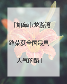 如皋市龙游湾路荣获全国最具人气的路