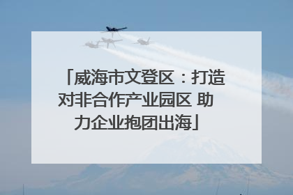 威海市文登区：打造对非合作产业园区 助力企业抱团出海
