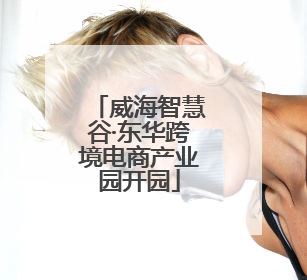 威海智慧谷·东华跨境电商产业园开园