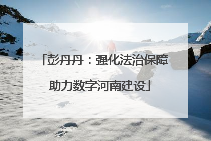 彭丹丹：强化法治保障 助力数字河南建设