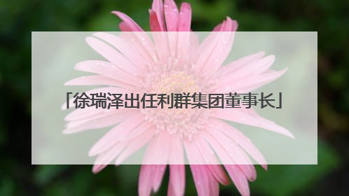 徐瑞泽出任利群集团董事长