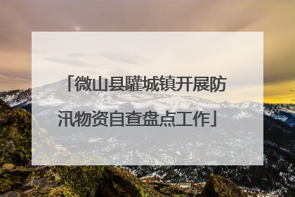 微山县驩城镇开展防汛物资自查盘点工作