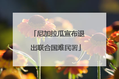 尼加拉瓜宣布退出联合国难民署
