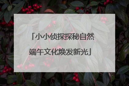 小小侦探探秘自然 端午文化焕发新光