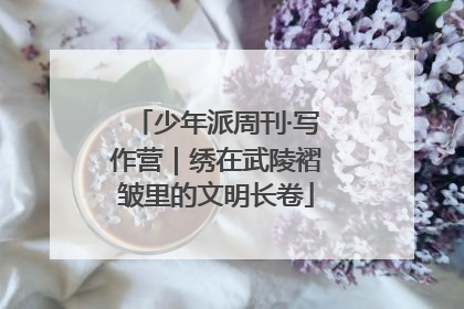 少年派周刊·写作营｜绣在武陵褶皱里的文明长卷