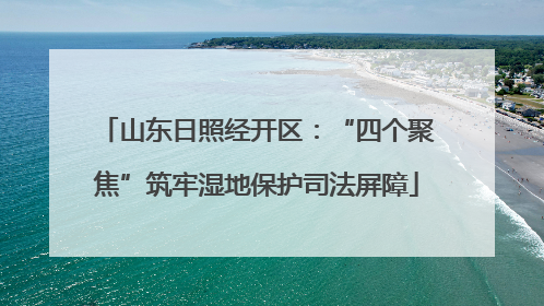 山东日照经开区：“四个聚焦”筑牢湿地保护司法屏障