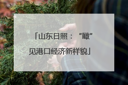 山东日照：“瞰”见港口经济新样貌