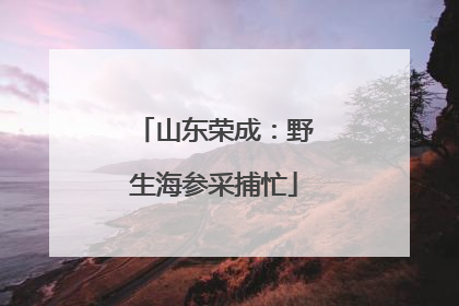 山东荣成：野生海参采捕忙