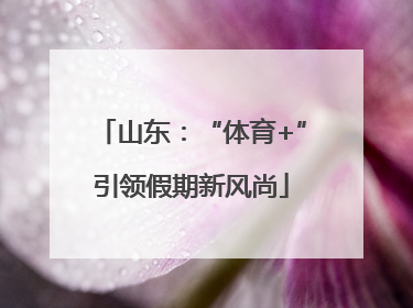 山东：“体育+”引领假期新风尚