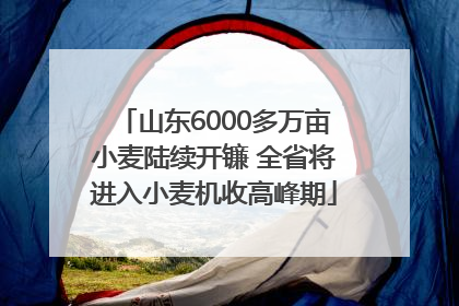 山东6000多万亩小麦陆续开镰 全省将进入小麦机收高峰期