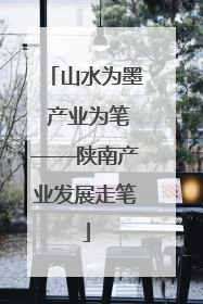 山水为墨 产业为笔——陕南产业发展走笔