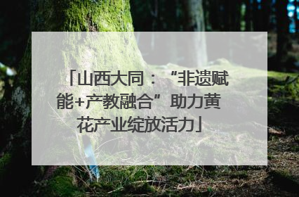 山西大同：“非遗赋能+产教融合”助力黄花产业绽放活力